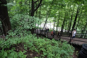 Mount Real in Montreal Mount Real in Montreal