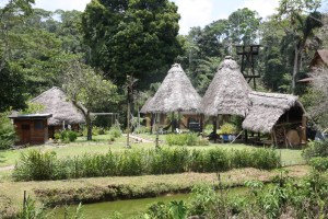 Arajuno Jungle Lodge