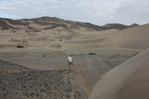 Bush camp search Bush camp search