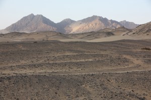 Bush camp view Bush camp view