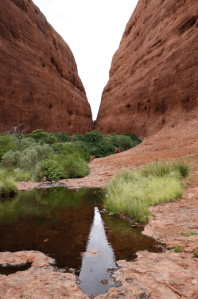 Kata Tjuta, Walpa Gorge