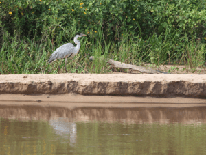 Screen Shot 2013-05-29 at 11.03.00 PM