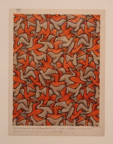 Twelve birds, Escher