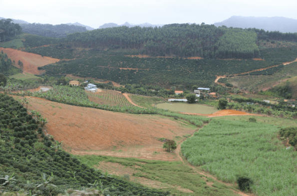 Brazilian countryside