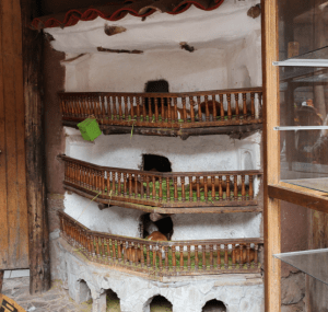 Guinea pig 'hotel'
