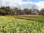 Floriade