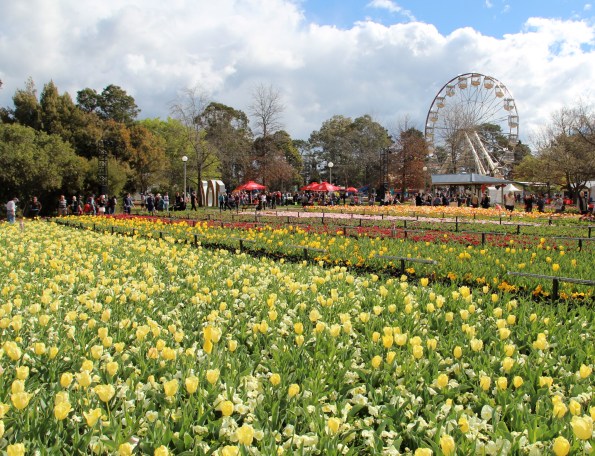 Floriade