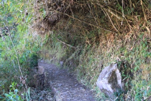 Inca Bridge path