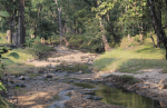 Pench landscape