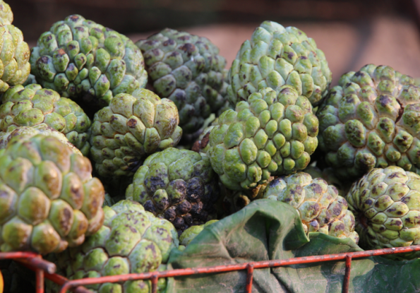Custard apples