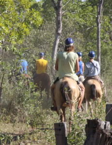 Horse-riding, Pantanal