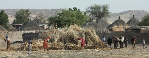Farming in the Sudan