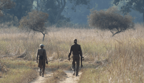 patrolling in a game park