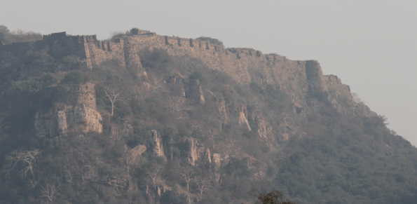 Ranthambore Fort
