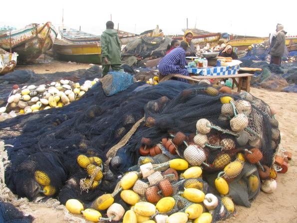 Nouadhibou's fish market