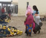 Nouadhibou’s fish market
