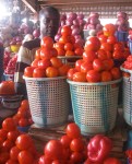 Tomato vendor