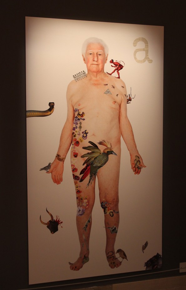 Not illegals 1, Biennale