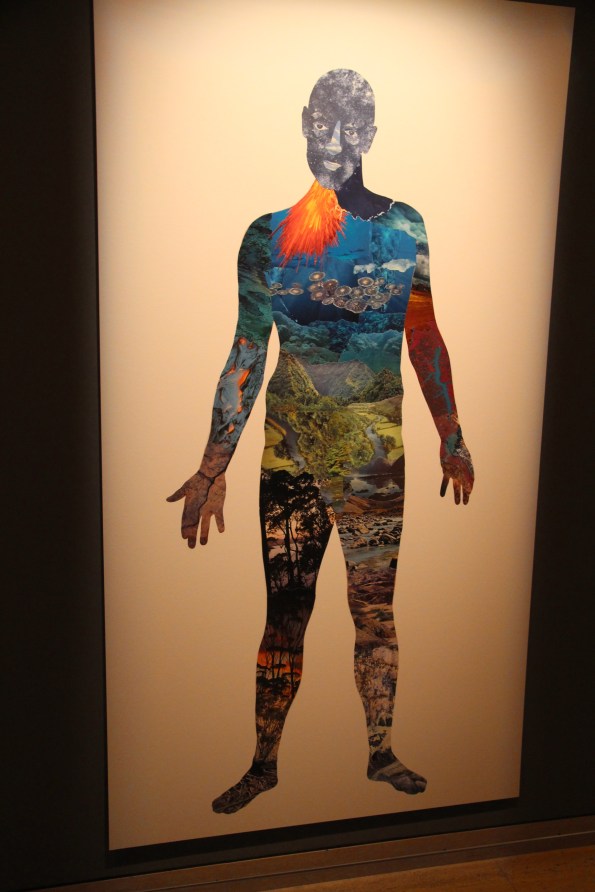 Not illegals 2, Biennale