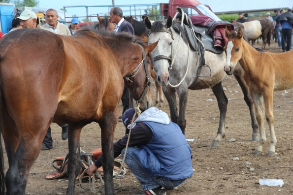 Karakol livestock market