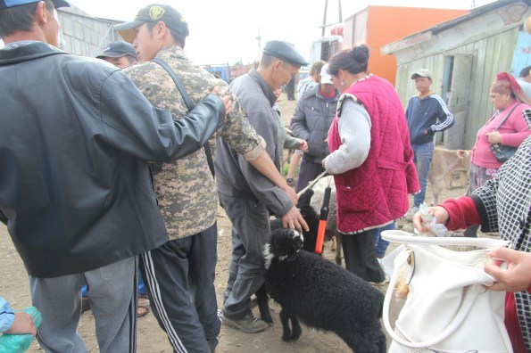 Money collectors, Karakol