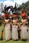 Goroka Show, twine skirts,&nbsp;2014