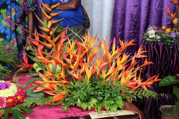 Goroka Show plants