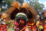 Goroka Show, 2014