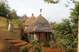 Asaro village hut