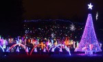 Rhema light display