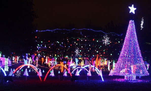 Rhema light display
