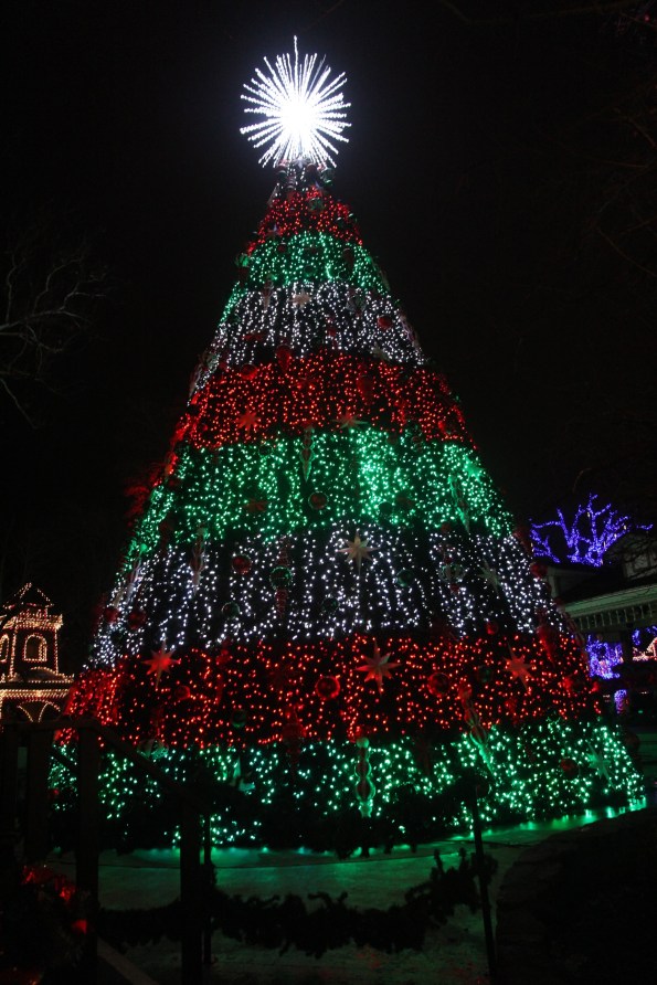 Silver Dollar City's Christmas tree
