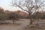 Gir National Park