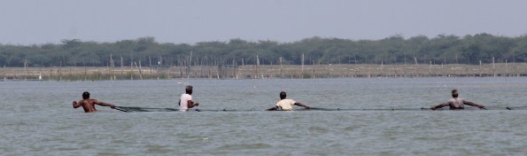 dragging net, Chilika Lake