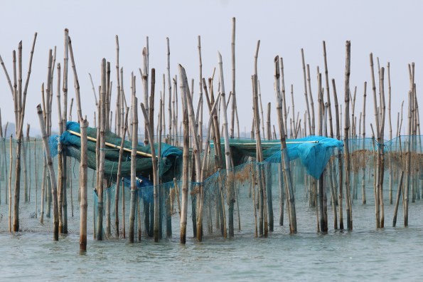 fishing nets, Chilika Lake