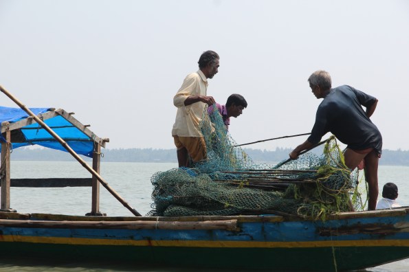 folding nets, Chilika