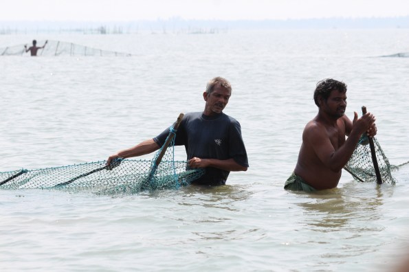 two fishing nets meet, Chilika