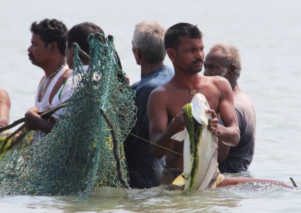 big fish, Chilika Lake