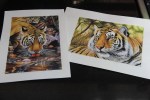 tiger watercolours