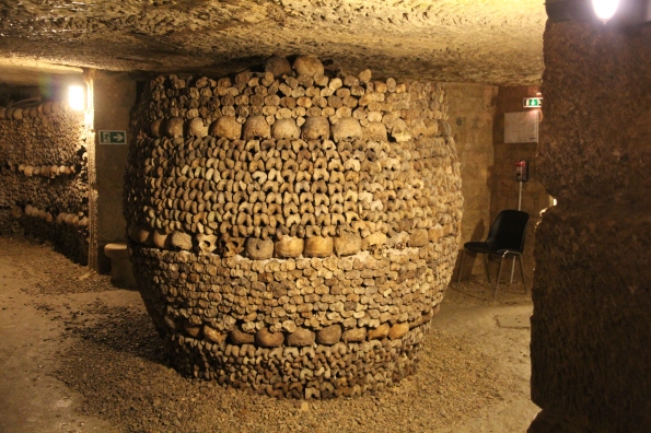 A round structure of bones
