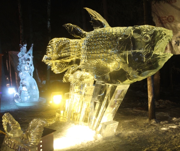 Coelacanth, ice sculpture, Fairbanks, 2016
