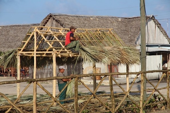 thatching in Cuba