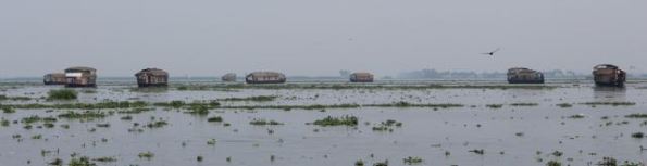 Houseboats on Punnamada Lake
