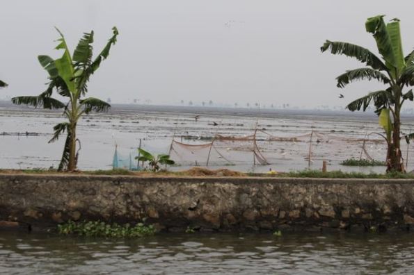 Agriculture beyond the lake