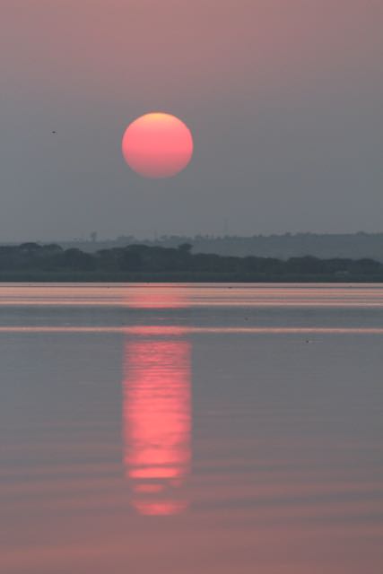 Pink and orange sunset