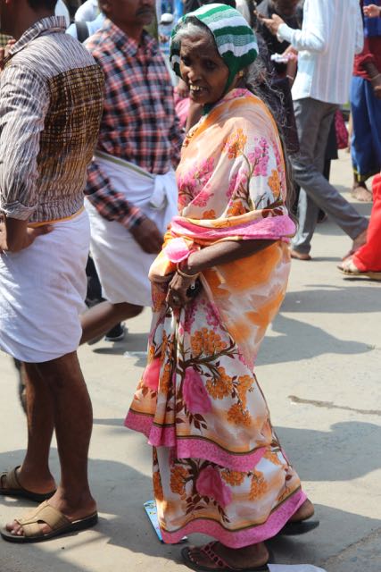 Subdued but colourful sari