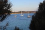Yachts at Trousers Point, Flinders&nbsp;Island
