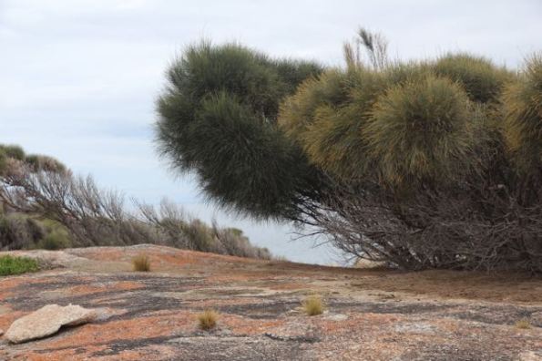 Trousers Point Walk, Flinders Island