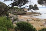 Fotheringate Beach, Flinders&nbsp;Island