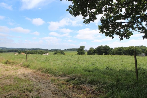 Brittany countryside